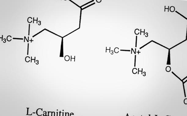 Carnitina